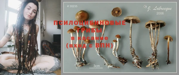 PSILOCYBIN Бронницы