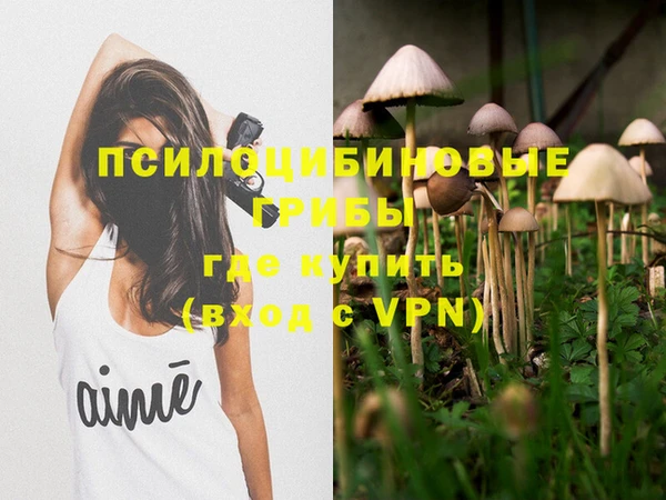 MDMA Premium VHQ Бугульма
