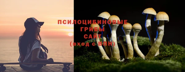 PSILOCYBIN Бронницы