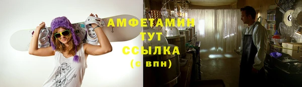 PSILOCYBIN Бронницы