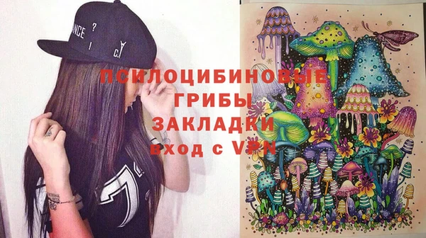 PSILOCYBIN Бронницы